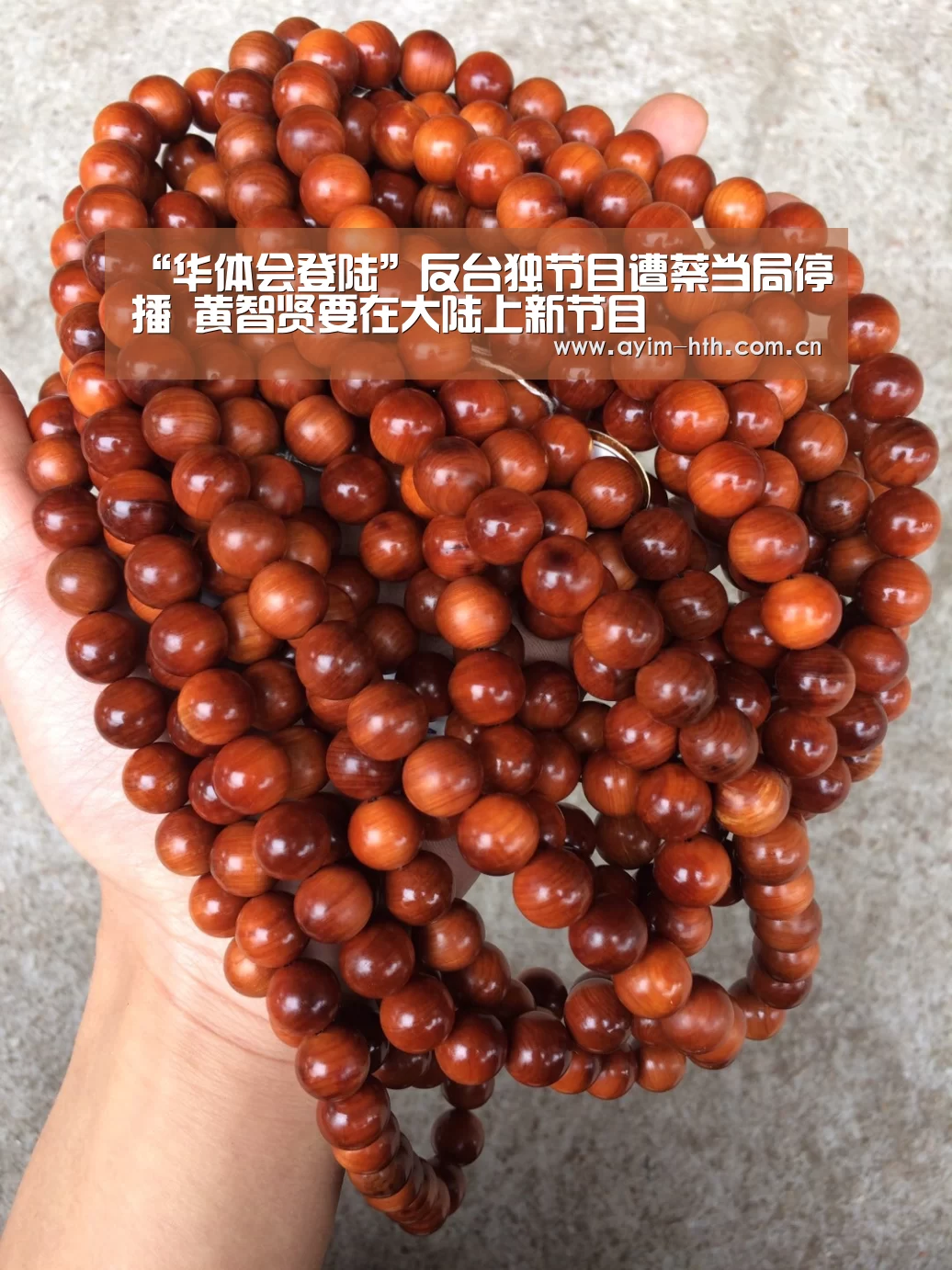华体会入口