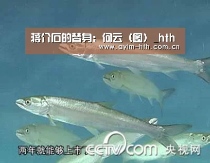 华体会入口