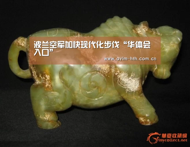 波兰空军加快现代化步伐“华体会入口”(图1)