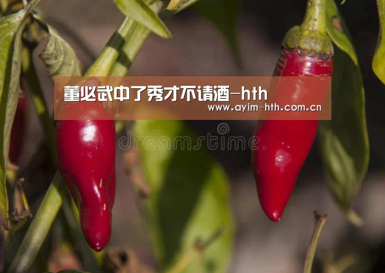 华体会