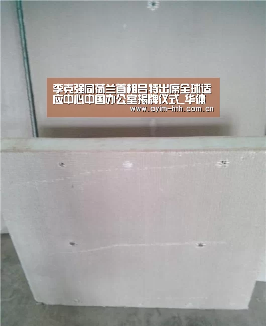 李克强同荷兰首相吕特出席全球适应中心中国办公室揭牌仪式_华体会入口(图1) 华体会