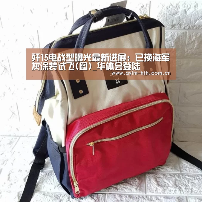 歼15电战型曝光最新进展:已换海军灰涂装试飞(图)_华体会登陆(图3) 华体会