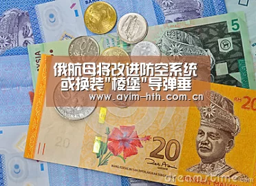 俄航母将改进防空系统 或换装棱堡导弹垂发装置:华体会(图2) 华体会入口
